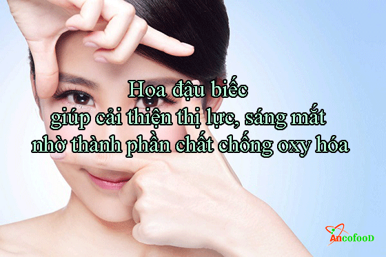 công dụng của hoa đậu biếc